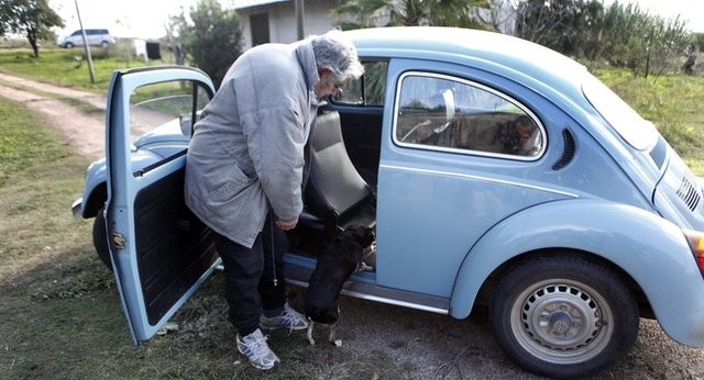 Encouraging dog to get into car